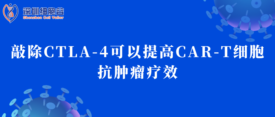 敲除CTLA-4可以提高CAR-T细胞抗肿瘤疗效