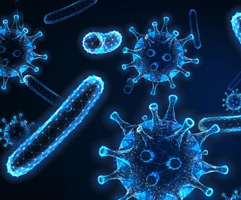 Mammalian gene expression vectors