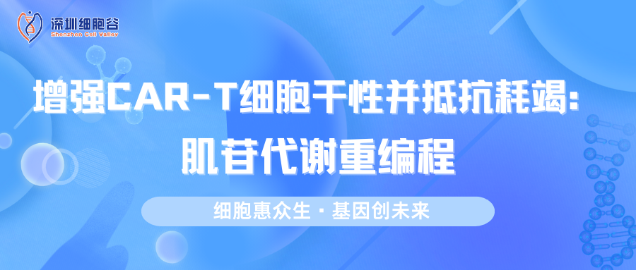 增强CAR-T细胞干性并抵抗耗竭：肌苷代谢重编程