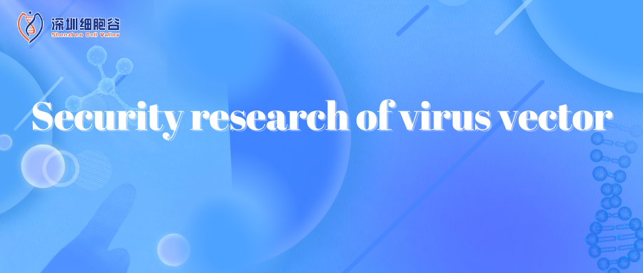 Research on the safety of viral vectors