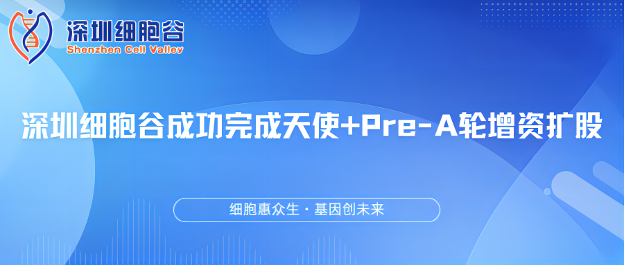 深圳圣淘沙网站成功完成天使+Pre-A轮增资扩股