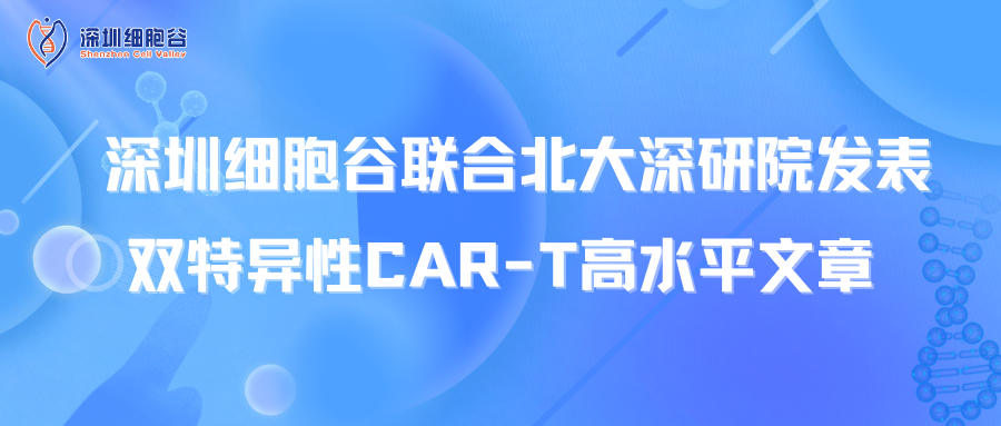 喜讯丨深圳圣淘沙网站联合北大深研院发表双特异性CAR-T高水平文章